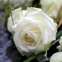 Trauerbegleitung ist wichtig